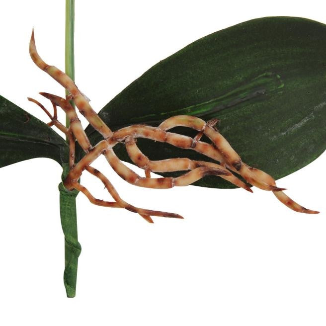 تصميم المناظر الطبيعية المزخرفة في وعاء دائري بثلاث زهور، محاكاة نباتات بونساي فالاينوبسيس في الأصص