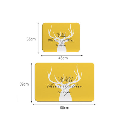 Bathroom Toilet Quick-Drying Absorbent Non-Slip Mats Diatom Ma, 60 x 40 cm