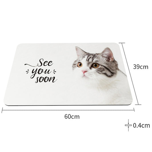 Bathroom Toilet Quick-Drying Absorbent Non-Slip Mats Diatom Ma, 60 x 40 cm