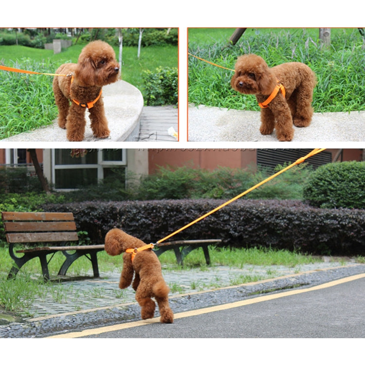 Double Sided LED Light Pet Harness Nylon Cat Dog Chest Strap Leash, XS, S, M, L, XL