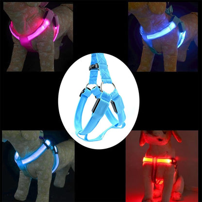 حزام صدر من النايلون للقطط والكلاب مزود بإضاءة LED مزدوجة الجوانب، مقاس صغير، متوسط