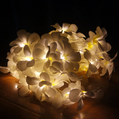 سلسلة أضواء LED من زهور فرانجيباني بيضاء دافئة تعمل بالبطارية بطول 1.5 متر، مكونة من 10 مصابيح LED، مصنوعة يدويًا، إضاءة زهور العطلات، حفلات المناسبات، ديكور غرفة النوم