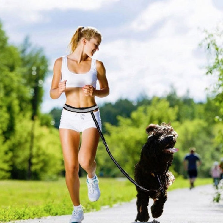 Dog Running Reflective Adjustable Belt Traction Rope with Small Bag, 4-Piece Set