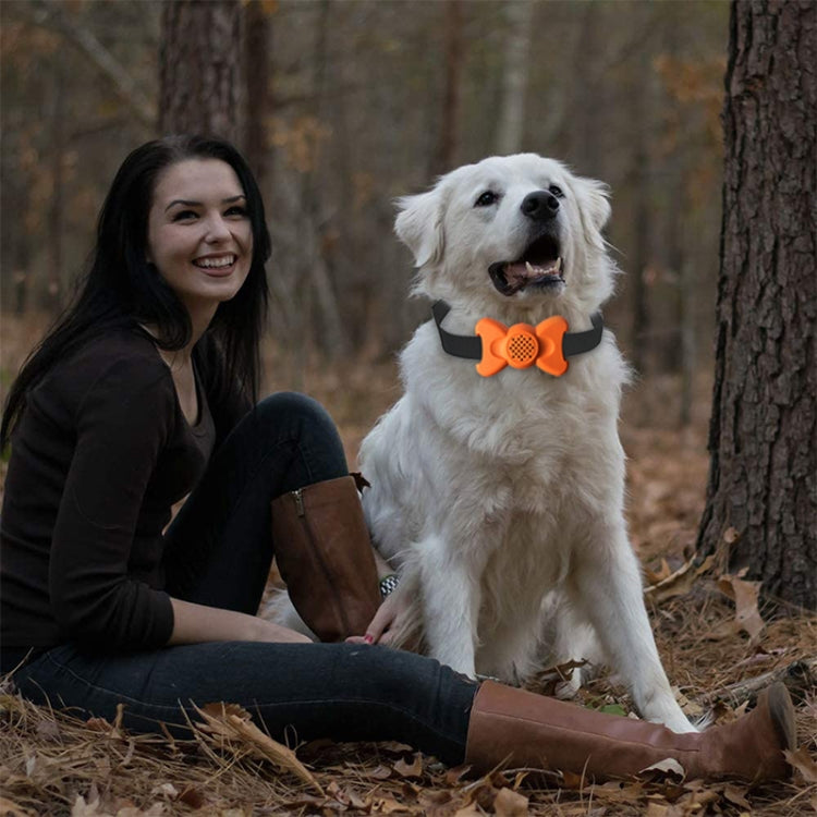 Automatic Voice Control Bark Arrester Collar Pet Supplies Trainer, White, Orange
