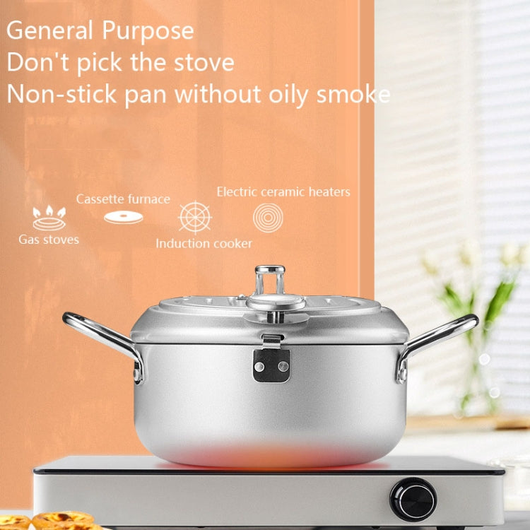 Fryer Pot Household Non-Stick Pan Temperature Control Mini Frying Pot, 20cm