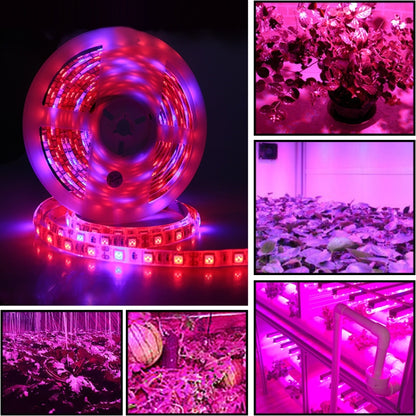شريط إضاءة LED كامل الطيف SMD 5050 بطول 5 أمتار و300 مصباح LED، مناسب للزراعة المائية في البيوت الزجاجية، مقاوم للماء