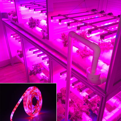 شريط إضاءة LED كامل الطيف SMD 5050 بطول 5 أمتار و300 مصباح LED، مناسب للزراعة المائية في البيوت الزجاجية، مقاوم للماء