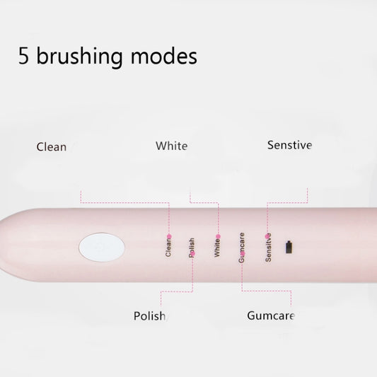 DELIPU Electric Toothbrush Rechargeable Sonic 5-Speed Adjustment Children Adult Household Waterproof Soft Hair Whitening Toothbrush, USB Charging Cable  (Blue), USB Charging Cable (White), USB Charging Stand (Blue), USB Charging Stand(Pink)������������...