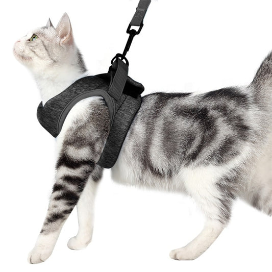 Cat Leash Pet Chest Harness Leash, S, M, L