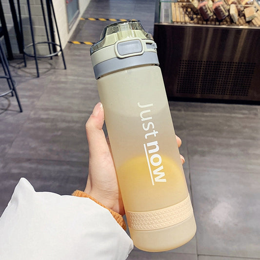 Girl Straw Cup Fresh Frosted Gradient Portable Cup