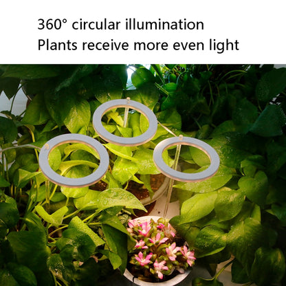 مصباح نمو النباتات LED، حلقة إضاءة داخلية ذكية ذات توقيت كامل، رأس واحد، رأسين، ثلاثة رؤوس، أربعة رؤوس
