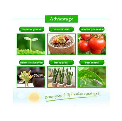 Ultra-Thin LED Plant Light, Full Spectrum COB Growth Light, Vegetable, Fruit & Flower Greenhouse Fill Light With Plug, 50W UK Plug, 150W UK Plug, 50W US Plug, 150W US Plug, 50W EU Plug, 150W EU Plug, 50W AU Plug, 150W AU Plug