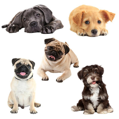 3D Simulation Dog Car Stickers Rain-Proof Sunscreen Car Sticker Scratch Shaving Decoration Stickers, Style 1 Small, Style 2 Small, Style 3 Small, Style 4 Small, Style 5 Small, Style 1 Large, Style 2 Large, Style 3 Large, Style 4 Large, Style 5 Large