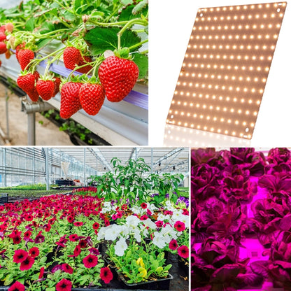 LED Plant Growth Light Indoor Quantum Board Plant Fill Light, Style:, D2 25W 81 Beads EU Plug (Pink Purple), D2 45W 169 Beads EU Plug (Pink Purple), D2 25W 81 Beads US Plug (Pink Purple), D2 45W 169 Beads US Plug (Pink Purple)��������������������������...
