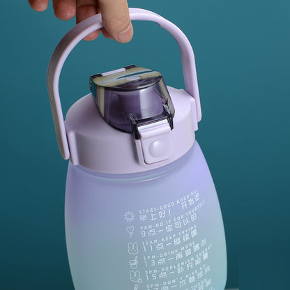 Portable Large Belly Water Cup High Temperature & Drop Resistant Straw Cup