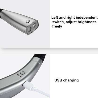 LED Hanging Neck Light Universal Hose Eye Protection Reading Light, Space Silver, Elegant Black
