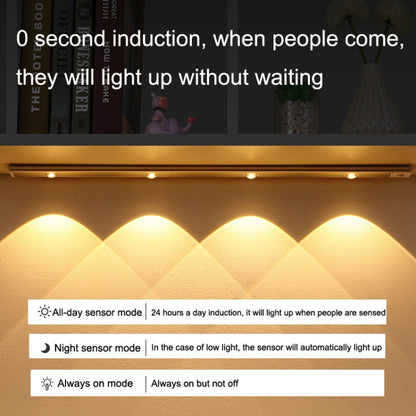 Ultra-thin Smart LED Human Body Sensor Light Bar, Length: