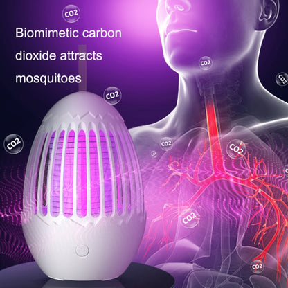 L01 Portable Electric Shock Mosquito Killer Lamp Home Outdoor Photocatalyst Fly Killer, Fly Killer Gray, Fly Killer White