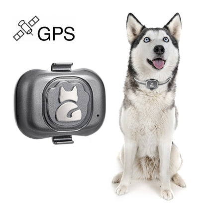 جهاز تتبع الحيوانات الأليفة G16 GPS IP67 مقاوم للماء طوق ذكي مضاد للضياع للكلاب والقطط، جهاز تتبع الحيوانات الأليفة G16 GPS