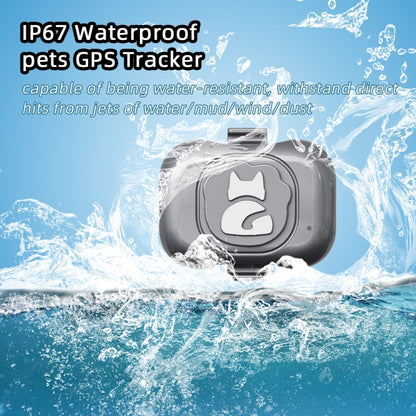 جهاز تتبع الحيوانات الأليفة G16 GPS IP67 مقاوم للماء طوق ذكي مضاد للضياع للكلاب والقطط، جهاز تتبع الحيوانات الأليفة G16 GPS