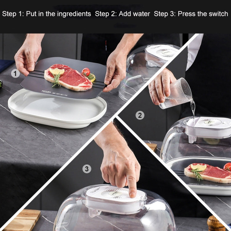 Frozen Food Quick Thaw Tray Thaw Plate, Quick Thaw Tray(Gray), Quick Thaw Tray(Golden)