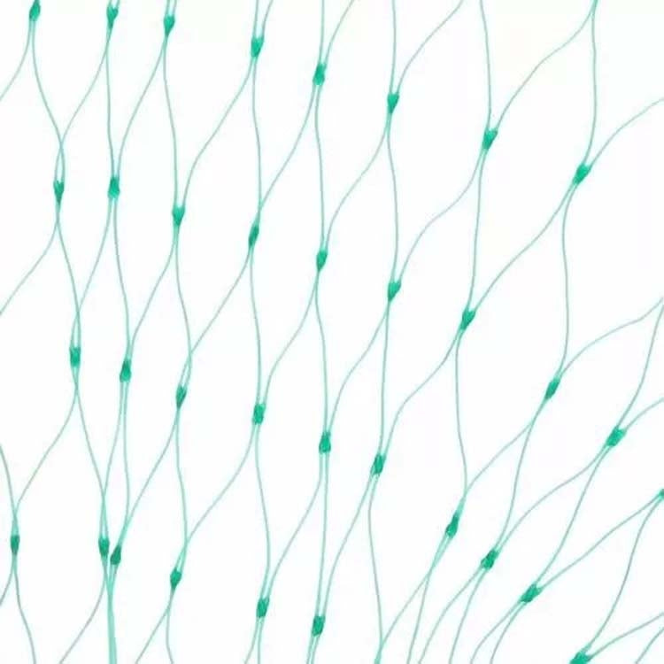 شبكة حماية من الطيور لحماية النباتات والفواكه، 2 متر × 10 متر، 4 متر × 5 متر، 4 متر × 10 متر، 4 متر × 12 متر، 5 متر × 10 متر، 5 متر × 20 متر، 4 متر × 15 متر
