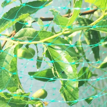 شبكة حماية من الطيور لحماية النباتات والفواكه، 2 متر × 10 متر، 4 متر × 5 متر، 4 متر × 10 متر، 4 متر × 12 متر، 5 متر × 10 متر، 5 متر × 20 متر، 4 متر × 15 متر