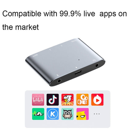 2 In 1 8 Pin+Type-C/USB-C Stereo Dual Channel Sound Card Live Converter