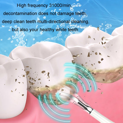 Electric Dental Scaler Accessories Replacement Head, White Basic, White Exclusive, Black Exclusive, Green Basic, Green Exclusive, 5pcs Toothbrush Head White, 5pcs Toothbrush Head Black, 5pcs Toothbrush Head Green