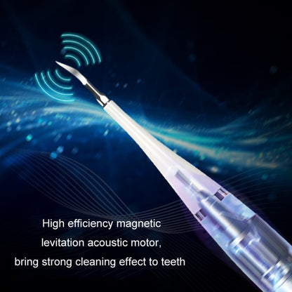 Electric Dental Scaler Accessories Replacement Head, White Basic, White Exclusive, Black Exclusive, Green Basic, Green Exclusive, 5pcs Toothbrush Head White, 5pcs Toothbrush Head Black, 5pcs Toothbrush Head Green