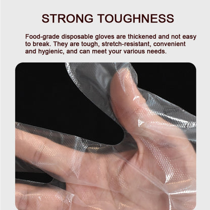 Disposable Gloves Transparent Food Catering Protective Glove, 1000pcs Standard 0.6g, 100pcs Thicked 0.8g