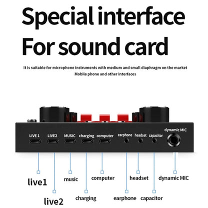 Audio Condenser Mic Studio Singing Microphone
