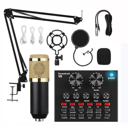 Audio Condenser Mic Studio Singing Microphone