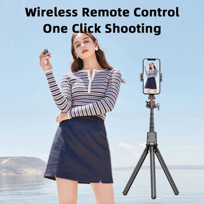 Octopus Tripod Mobile Phone Camera Portable Handheld Photo Bracket