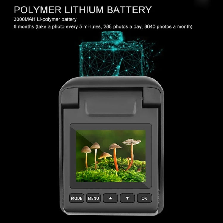 4K Time-Lapse Camera Microlight Full Color Night Vision Security Recording Construction Site Time-Lapse Camera