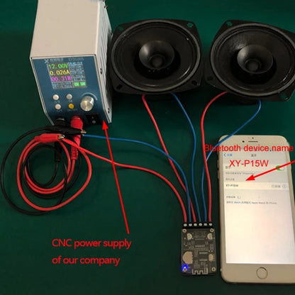 XY-P15W 10W/15W/20W Stereo Bluetooth Amplifier Board 12V/24V Digital Amplifier Module