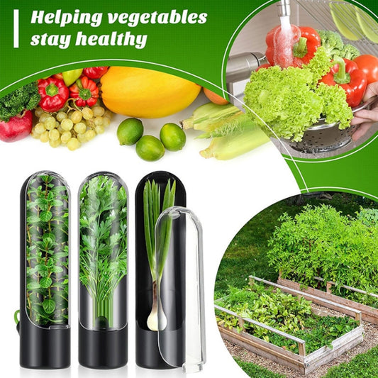 Herb Crisper Vegetable Keep Fresh Container Cilantro Herb Storage Container, 24.5 x 6.5 cm