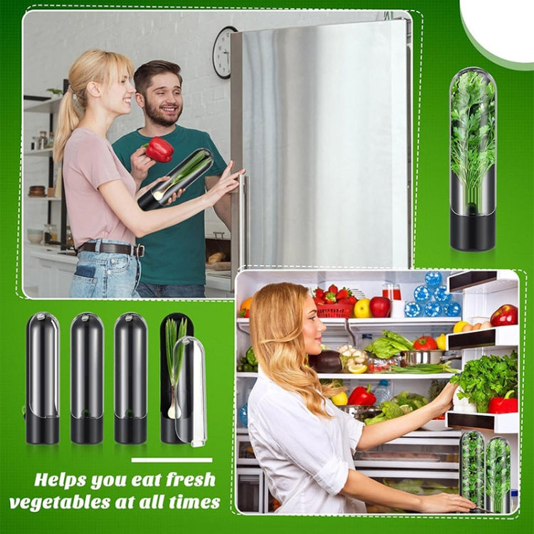 Herb Crisper Vegetable Keep Fresh Container Cilantro Herb Storage Container, 24.5 x 6.5 cm