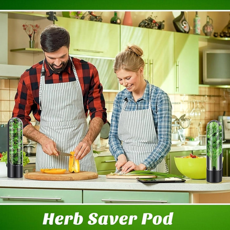 Herb Crisper Vegetable Keep Fresh Container Cilantro Herb Storage Container, 24.5 x 6.5 cm