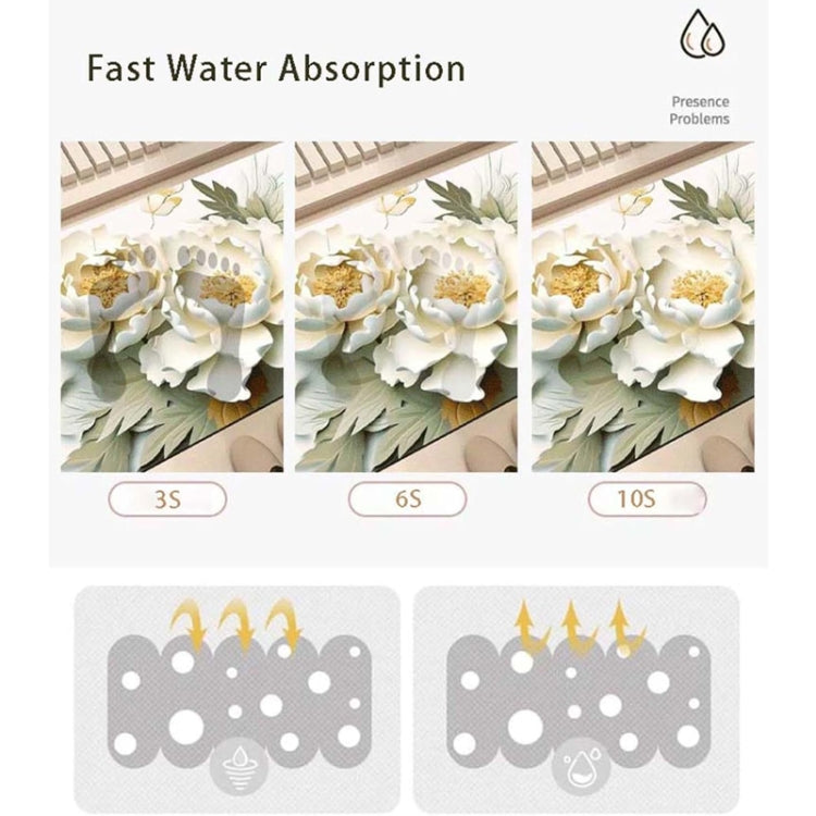 3D Oil Painting Diatom Mud Absorbent Floor Mat Non-slip Carpet, 40 x 60cm, 50 x 80cm