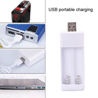 Directly Inserted 2 Slots USB AA / AAA Rechargeable Battery Charger