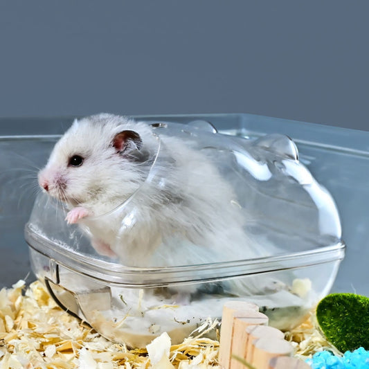 Hamster Bathroom Toilet Dual Purpose Nest Splash-proof Small Animals Golden Bear Bathtub, Small, Medium, Large