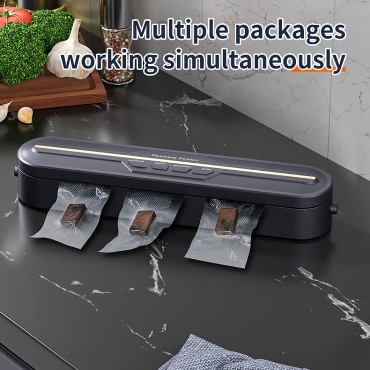 Food Vacuum Sealer Machine 60KPA Strong Suction, Small / Large Bag Modes With 10 Vacuum Bags, EU Plug, US Plug