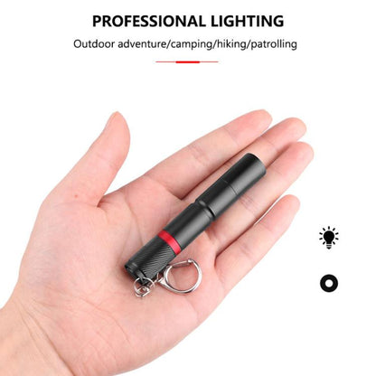 Mini Outdoor Portable XPE Fixed Focus LED Flashlight, Large, Small