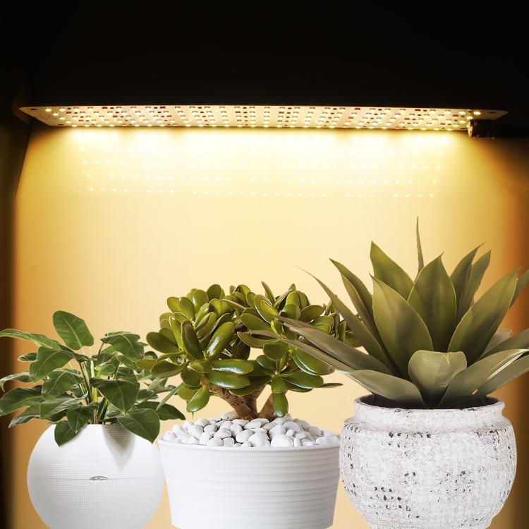 مصباح LED لنمو النباتات يعمل بضوء الشمس بقوة 12 فولت، رأس واحد، رأسان، ثلاثة رؤوس، أربعة رؤوس، منفذ USB صغير 5 فولت