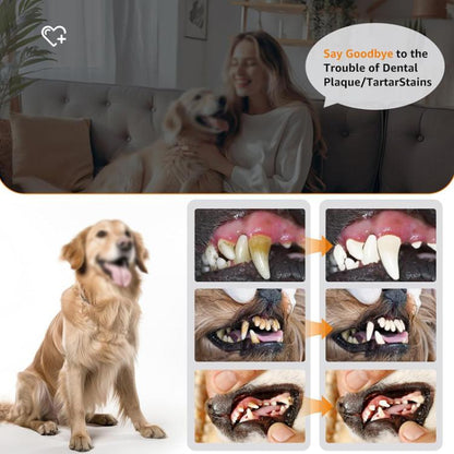 Pet Ultrasonic Teeth Cleaner Dog Tooth Brushing Kit Plaque Tartar Remover Dental Care Tool, With 3pcs Kit (White), With 3pcs Kit (Black), With Gift Box Oral Mirror (White), With Gift Box Oral Mirror (Black)