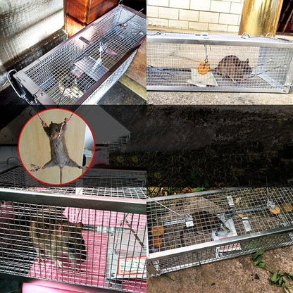 Household Mouse Cage Mousetrap with Double Door, Household Mouse Cage