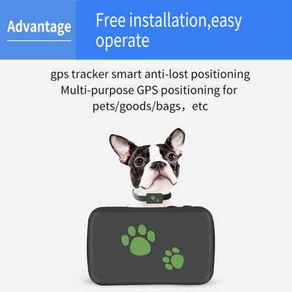 جهاز تتبع TK203 4G GPS / GPRS / GSM شخصي / بضائع / حيوان أليف / حقيبة طوق حيوان أليف في الوقت الفعلي، TK203