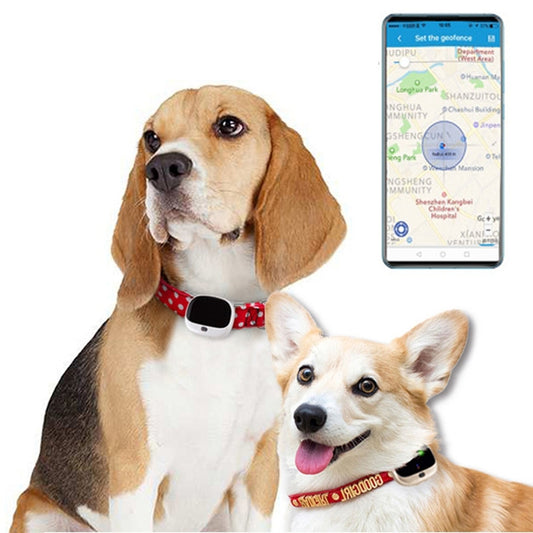 RF-V43 A Style IP67 Waterproof GPS + LBS + WiFi Pet Locator Pet Collar Tracking Device For Asia/Europe/Africa/Australia, RF-V43 A Style (White), RF-V43 A Style (Black), RF-V43 A Style (Gold)