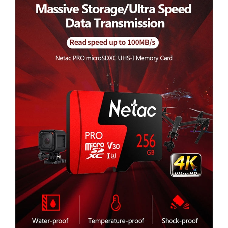 بطاقة ذاكرة TF من Netac P500 PRO سعة 256 جيجابايت، U3، مسجل بيانات سيارة، شاشة، كاميرا، سرعة عالية، بطاقة ذاكرة TF، سعة 256 جيجابايت